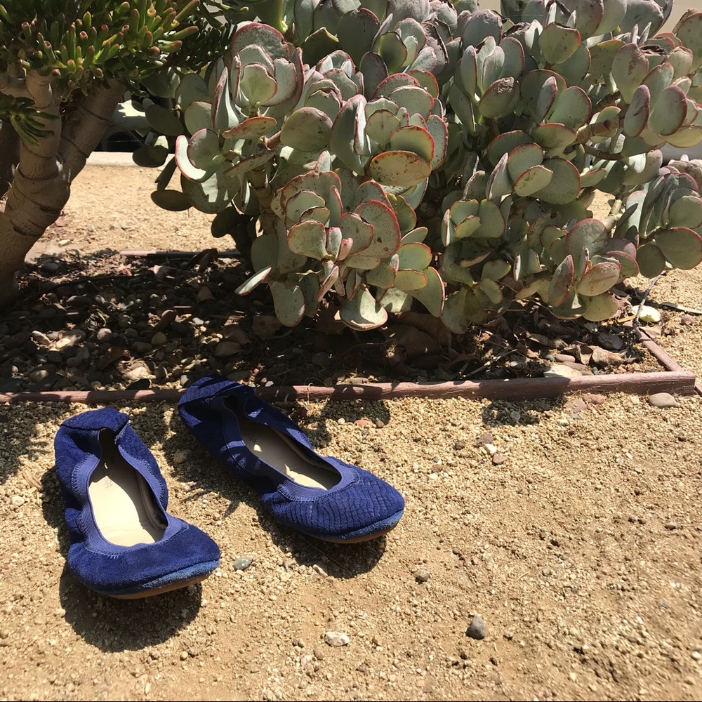 Yosi Samra Ballet Flats